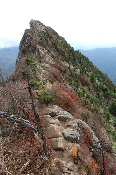 素晴らしき Mountain ＆ Flower By Yamatake 四国遠征②西日本の最高峰＆鎖場で有名な石鎚山（愛媛県）