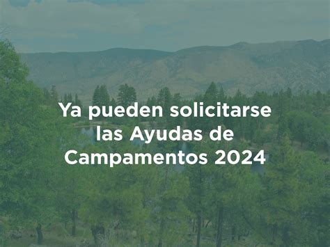 Ya Pueden Solicitarse Las Ayudas De Campamentos 2024 Juniors MD