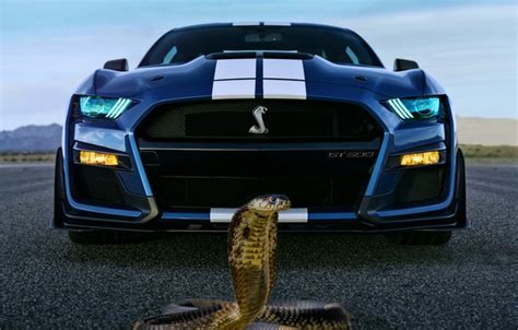 Wallpaper background, fantasy, Cobra, ford images for desktop, section фантастика - download