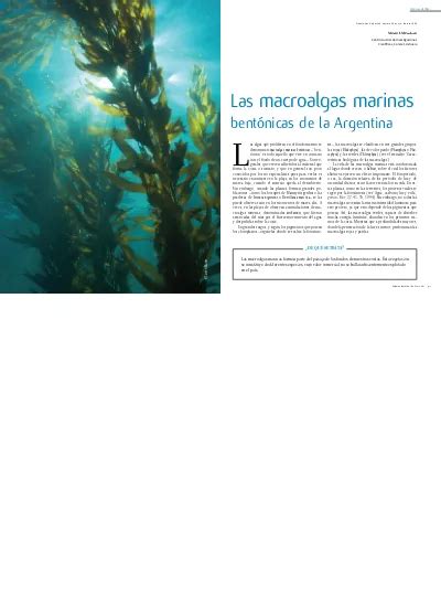 Las macroalgas marinas bentónicas de la Argentina