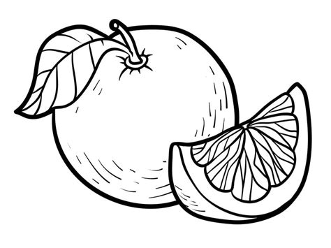 Dibujos De Pomelo Simple Para Colorear Para Colorear Pintar E Imprimir