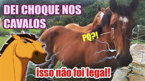 PRECISEI DAR CHOQUE NOS CAVALOS PARA ELES PARAREM DE SE MACHUCAR