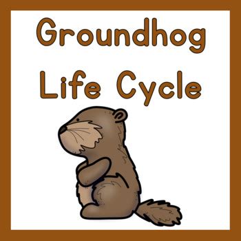 Groundhog Life Cycle by The Organized Preschool Teacher | TpT