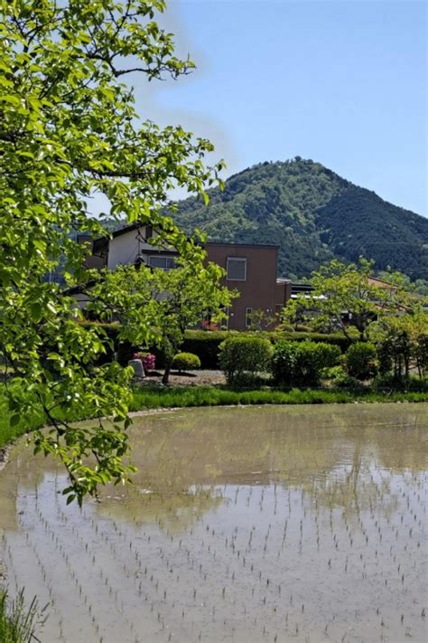 丹波篠山・八上城（高城山）ハイキング神戸中央山の会 神戸中央山の会