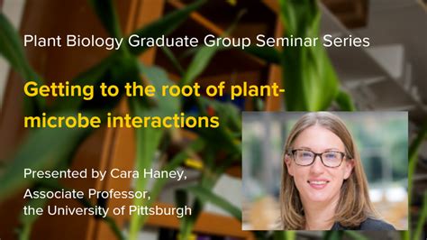 Plant Biology Graduate Group Seminar Series: "Getting to the root of ...