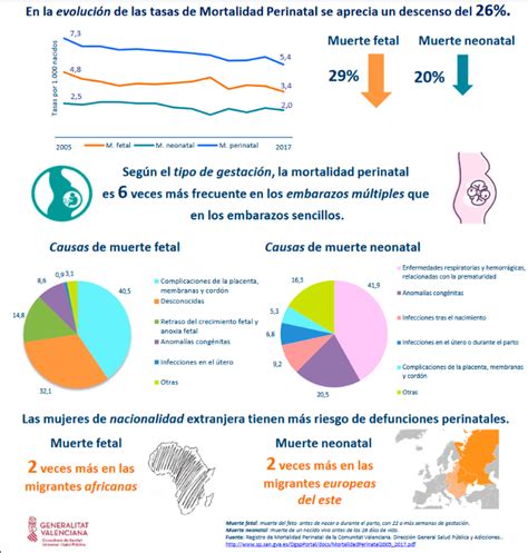 La Mortalidad Perinatal Desciende En La Comunidad Valenciana