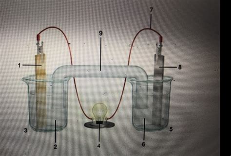 Solved 1 The Diagram Shows An Electrochemical Cell With Copper Course Hero