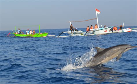 Lovina Dolphin Watching Lovina Package Tour Lovina Tour With Twin Lake