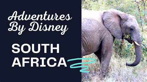 Adventures By Disney South Africa Youtube