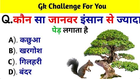 कौन सा जानवर इंसान से ज्यादा😍 पेड़ लगाता है🌳 Gk Gk Question Gk