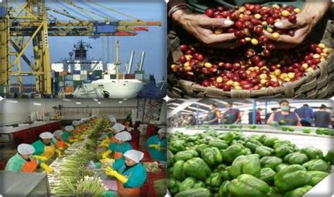 Agroexportaciones Peruanas Crecen En Valor 299 En El Primer Bimestre Del 2022