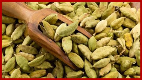 Cardamomo Beneficios Medicinales