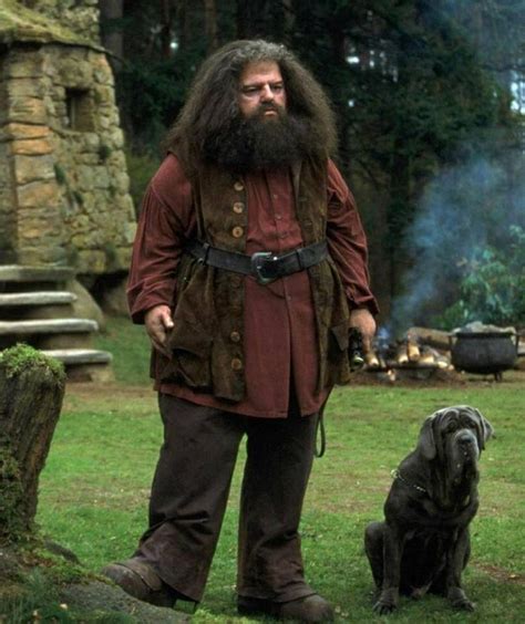 Hagrid Harry Potter Movies Rubeus Hagrid Harry Potter Characters