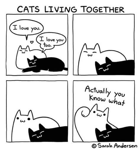 Cats Living Together Webcomics Know Your Meme