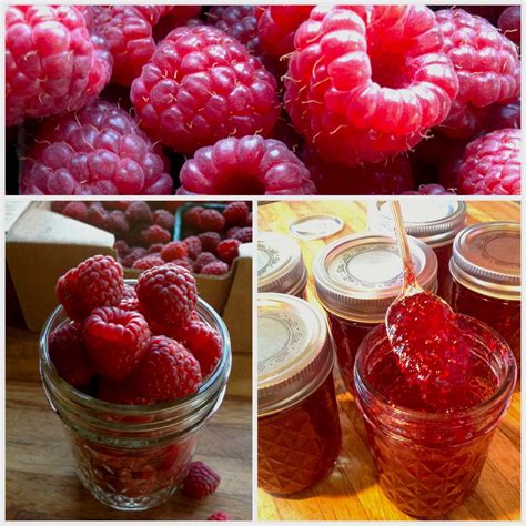 How To Make And Can Raspberry Jam Raspberry Jam Recipe Jam Recipes Raspberry Jam