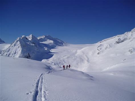 Adamello Ski Mountaineering The Adamello Tour Lobbie And Vedretta