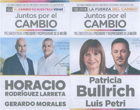 Todas Las Boletas De Los Precandidatos Presidenciales Para Las Paso