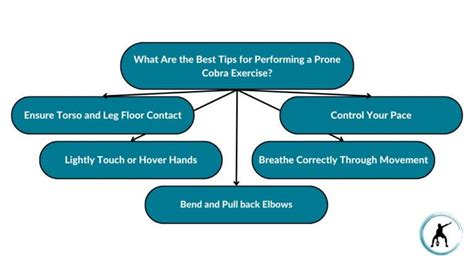 How to Do a Prone Ball Cobra Exercise on a Stability Ball | Functional Body Savage