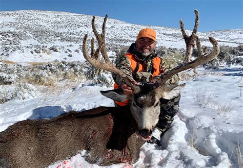 Colorado Mule Deer Draw Results Np