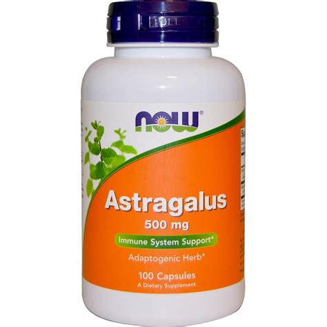 Astragalus 500 Mg 100 Kapseln