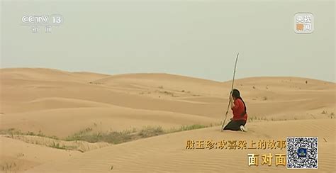 面对面｜专访40年里在沙漠种出7万亩绿洲的“治沙能手”殷玉珍 极目新闻