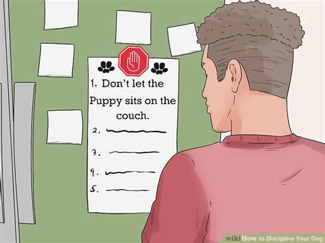 3 Ways To Discipline Your Dog Wikihow Pet