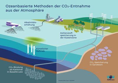 Meere Als Kohlenstoffspeicher