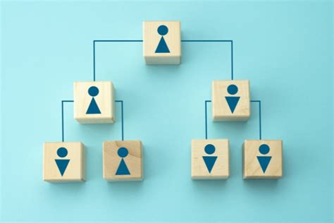 el proceso administrativo en la educacion una mirada  su importancia