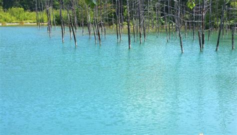 Blue Pond In Hokkaido | A Mystical Yet Beautiful Pond - Red Outer Space