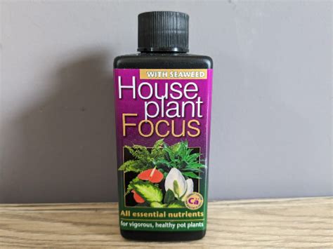 Houseplant Focus Liquid Feed Ml Rockbarton Garden Centre