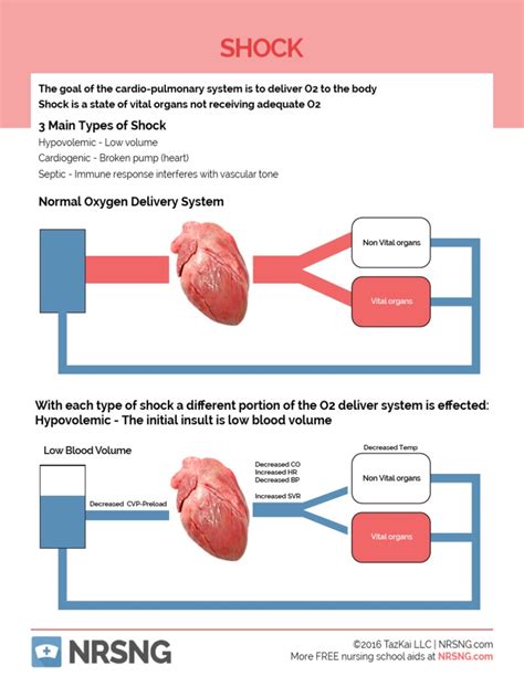 Shock Cheat Sheet Pdf Shock Circulatory Physiology