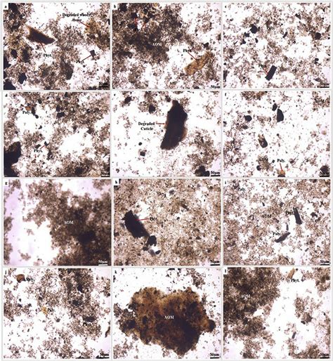 Photomicrographs Of Fika Shale Samples Under Transmitted Light Showing