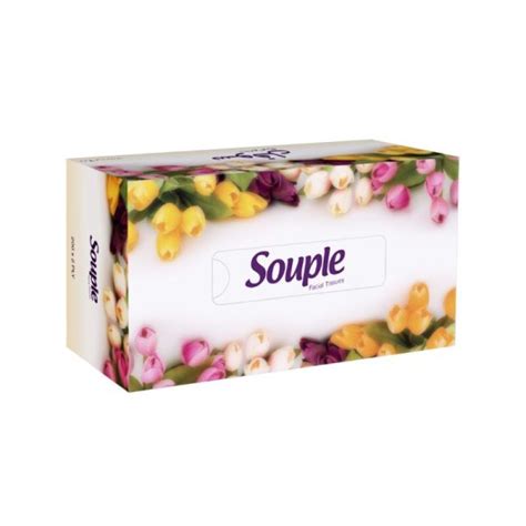 Souple Facial Tissue 200 Sheets 30 Boxes Carton Hygieneforall