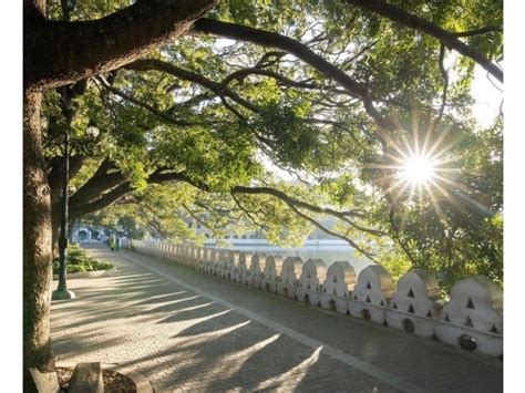 Kandy: City Tour by Budget Taxi (Local Guide) | Travel Buddies