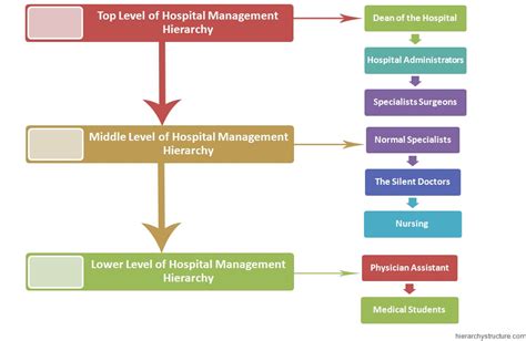 Hospital Management Hierarchy Chart | Hierarchystructure.com