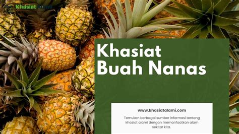 Khasiat Buah Nanas Khasiat Alami