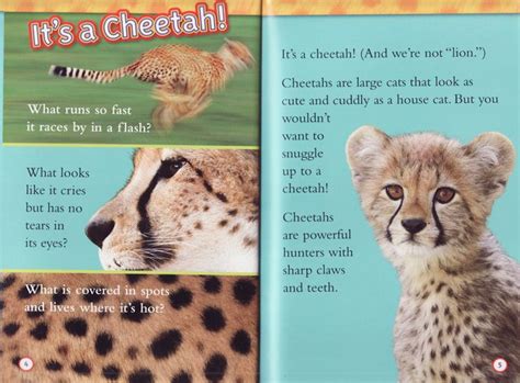 Cheetahs National Geographic Kids Readers Level 2