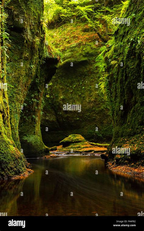 The Green Glen. Finnich Glen, Scotland Stock Photo - Alamy