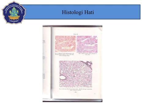 Histologi Hati Dan Pankreas PPT