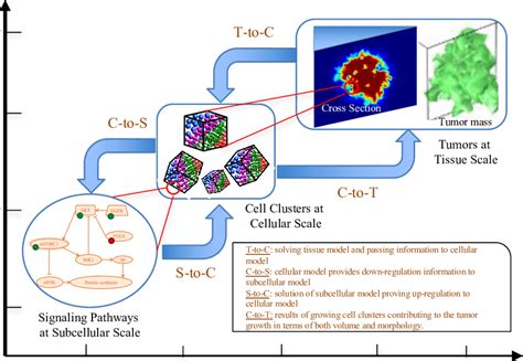 An Illustration Of The Spatiotemporal Multiscale Modeling Framework