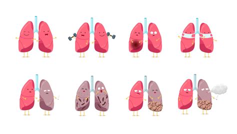 Sad Sick Unhealthy And Healthy Strong Happy Smiling Cute Lung Character Set Human Anatomy