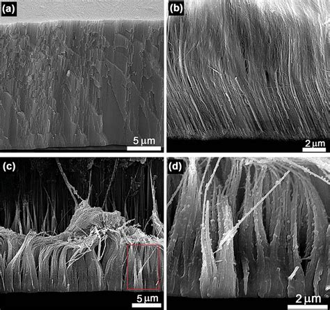 A Cross Sectional View FESEM Image Of The AAO Membrane With A Pore