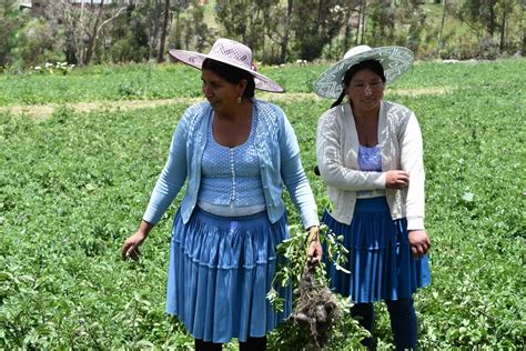 Andes Resilientes En Bolivia La Agroecolog A Como Aliado De La