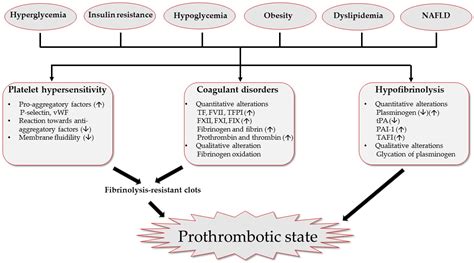 Jcm Free Full Text Effects Of Hyperglycemia And Diabetes Mellitus