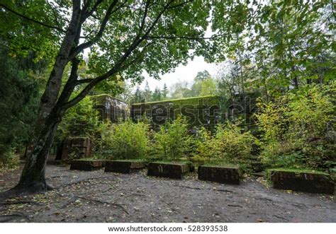 Wolfs Lair Adolf Hitlers Bunker Poland Stock Photo 528393538 Shutterstock