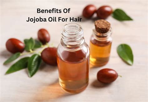 15 Amazing Benefits Of Jojoba Oil For Hair 2024