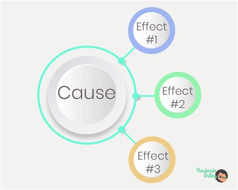 Cause And Effect Essay Graphic Organizer