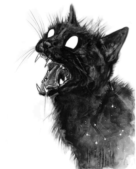 Frantic Enchantment Limited Print 8x10 Etsy Creepy Cat Scary Art