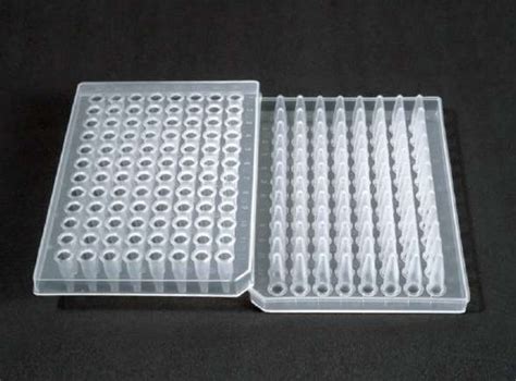 Transparent Semi Skirted 96 Well Pcr Plate At Best Price In Coimbatore