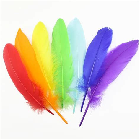 Satinettes De Ganso De Mezcla De Colores Plumas Sueltas De 5 8